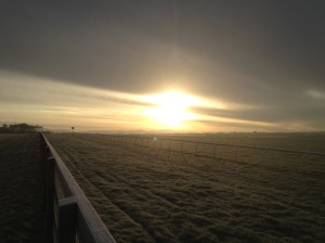 Travelling from Dublin to Cork I set off earlier so I can stop for a walk en route, and see sunrise over a frosty Curragh