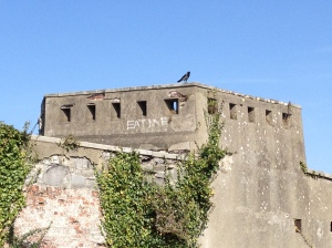 A solitary bird stands guard at an abandoned fortress in Dublin's Phoenix Park.